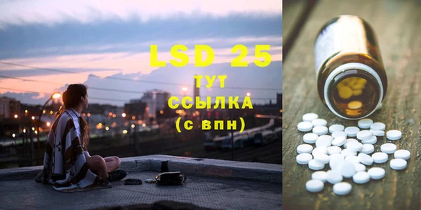 ПСИЛОЦИБИНОВЫЕ ГРИБЫ Вязники