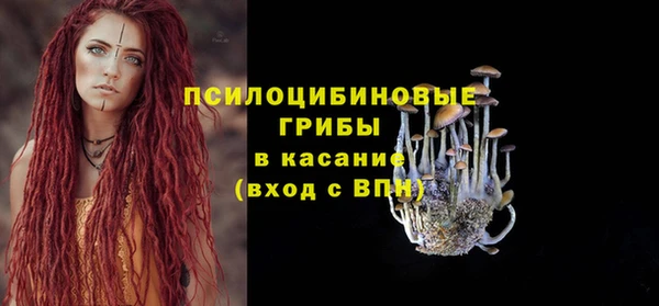 твердый Володарск