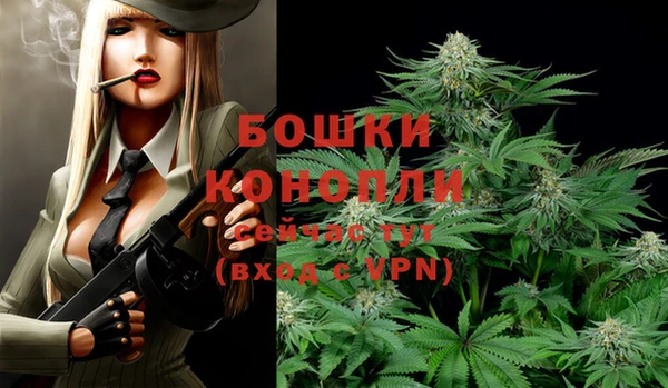 твердый Володарск