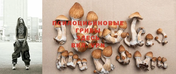 твердый Володарск
