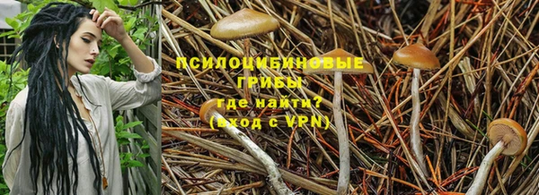 твердый Володарск