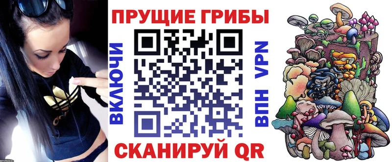 Псилоцибиновые грибы Psilocybine cubensis  Купить  Саянск 